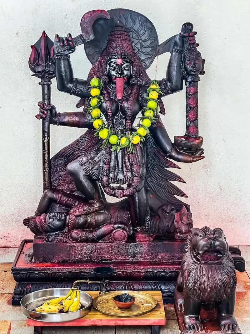 Ma Adya Kali — Fierce Devotional Form